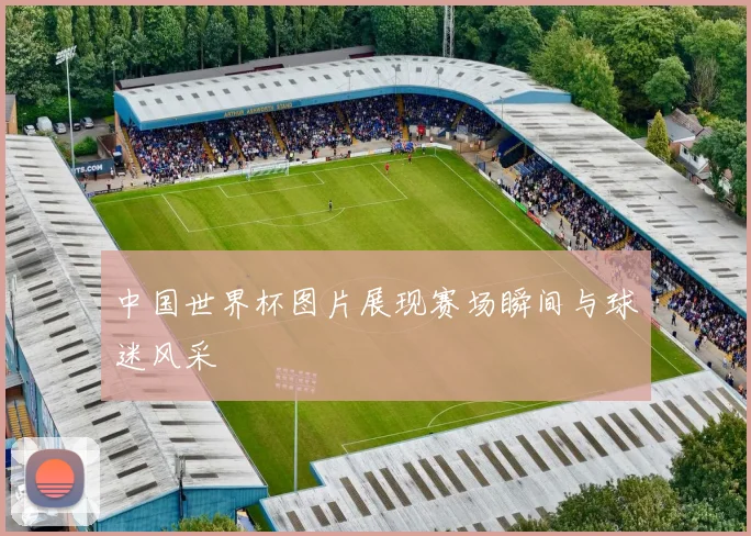中国世界杯图片展现赛场瞬间与球迷风采