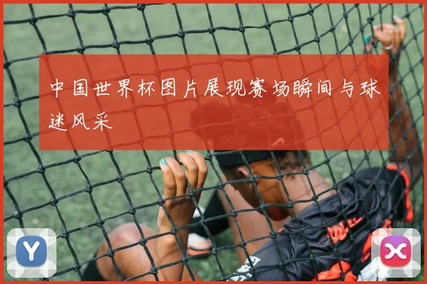 中国世界杯图片展现赛场瞬间与球迷风采